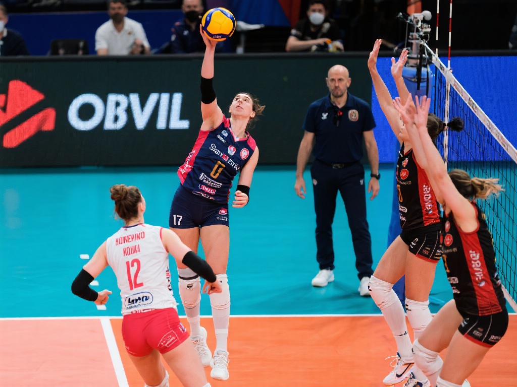 放的竞争对 放的竞争对