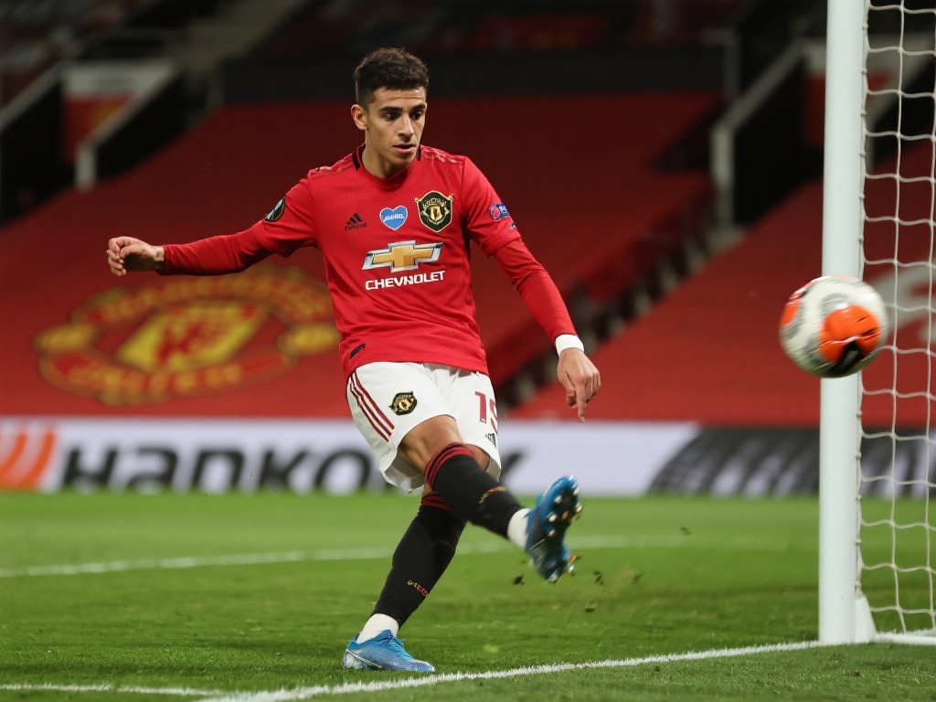 c7网址分类详解：轻松找到目标网站