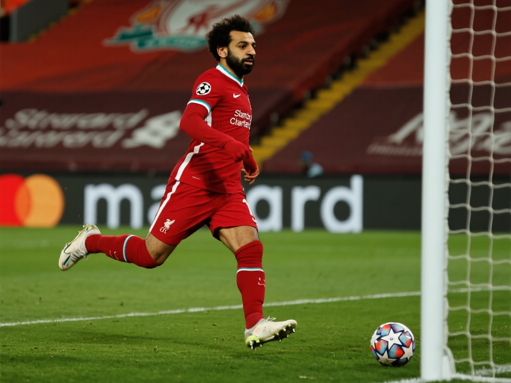 拥有深厚的 拥有深厚的